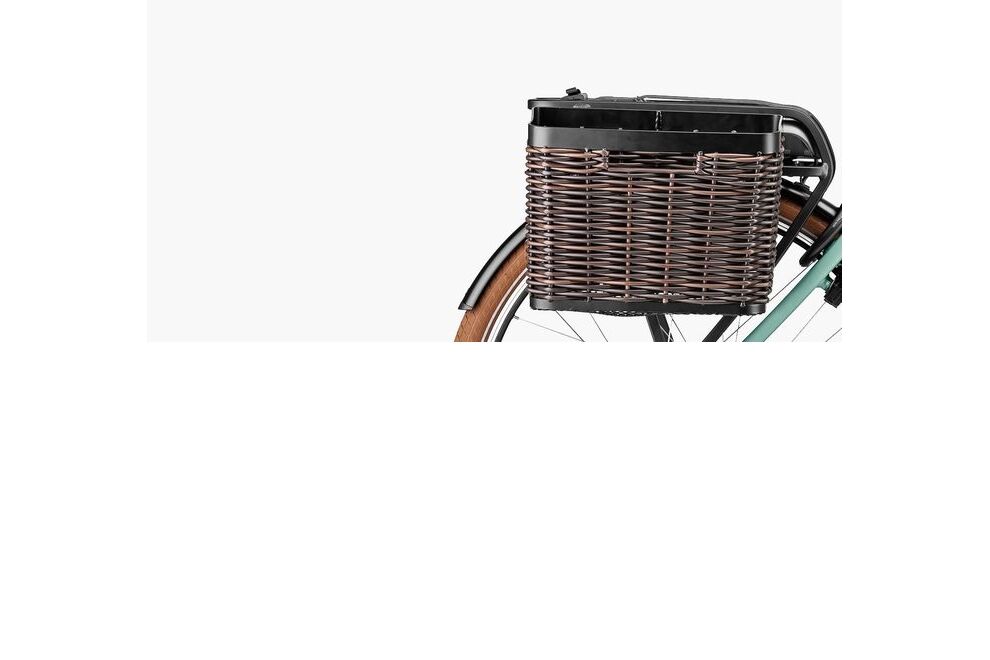 Riese und Müller Swing vario