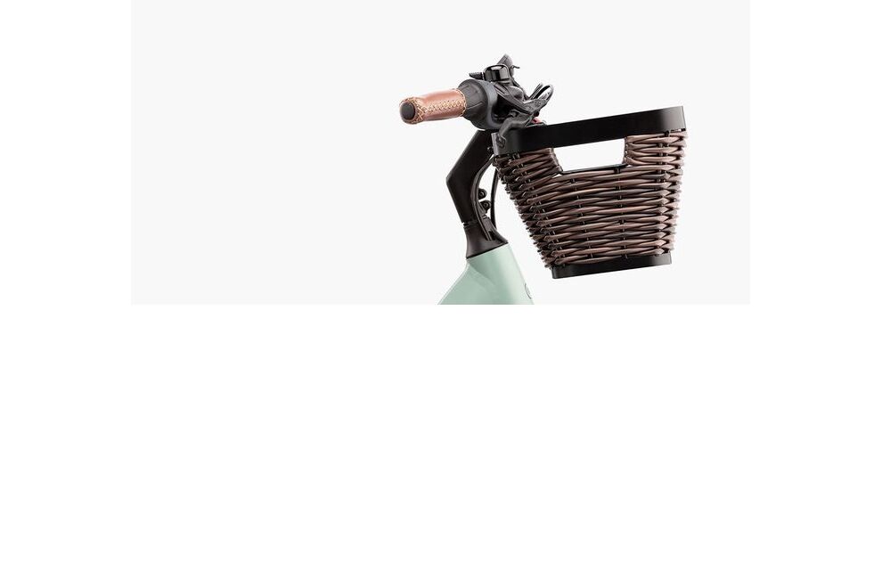 Riese und Müller Swing vario