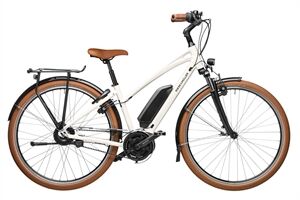 Riese und Müller Cruiser Mixte vario