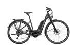Simplon Chenoa Uni 8L