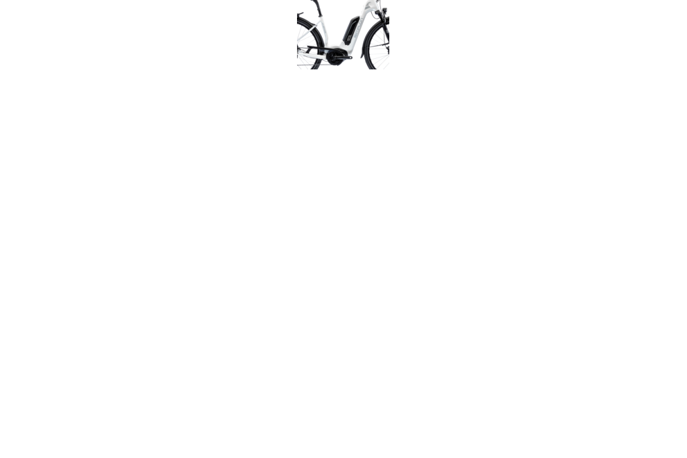 Simplon Chenoa Uni 8L