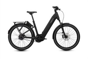 HNF Nicolai UD4 All-Terrain, Enviolo