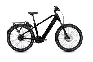 HNF Nicolai XD4 All-Terrain, Enviolo AUTOMATiQ