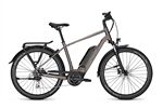 Kalkhoff ENTICE 1.B MOVE 545 Wh