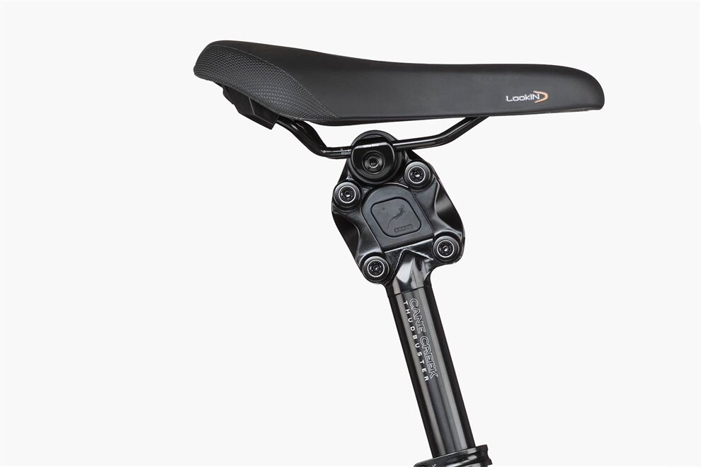 Riese und Müller Charger4 GT vario - OLC Showroom