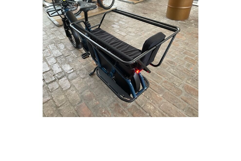 Riese und Müller Multitinker vario