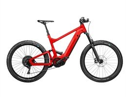 Riese und Müller Delite mountain touring