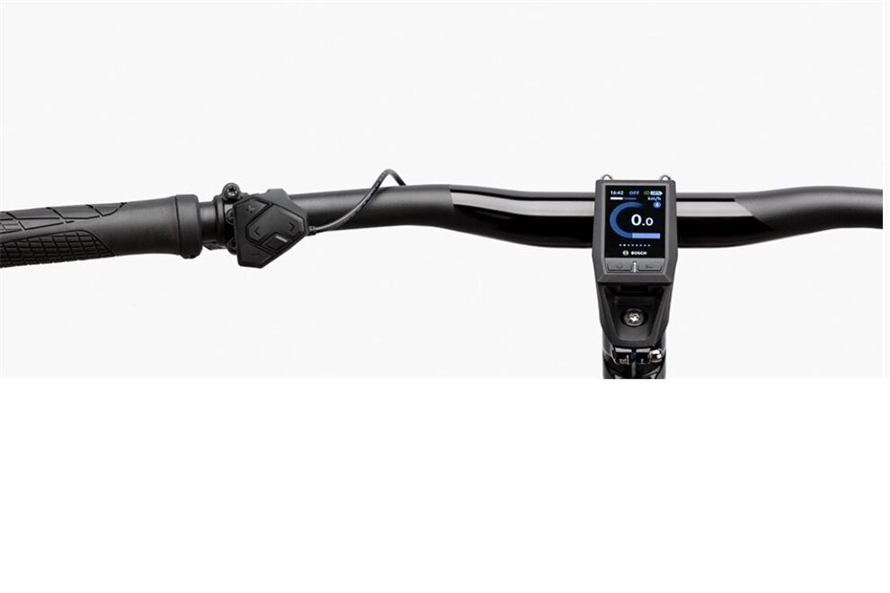 Riese und Müller Delite mountain touring