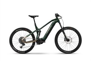 Haibike AllMtn CF 11