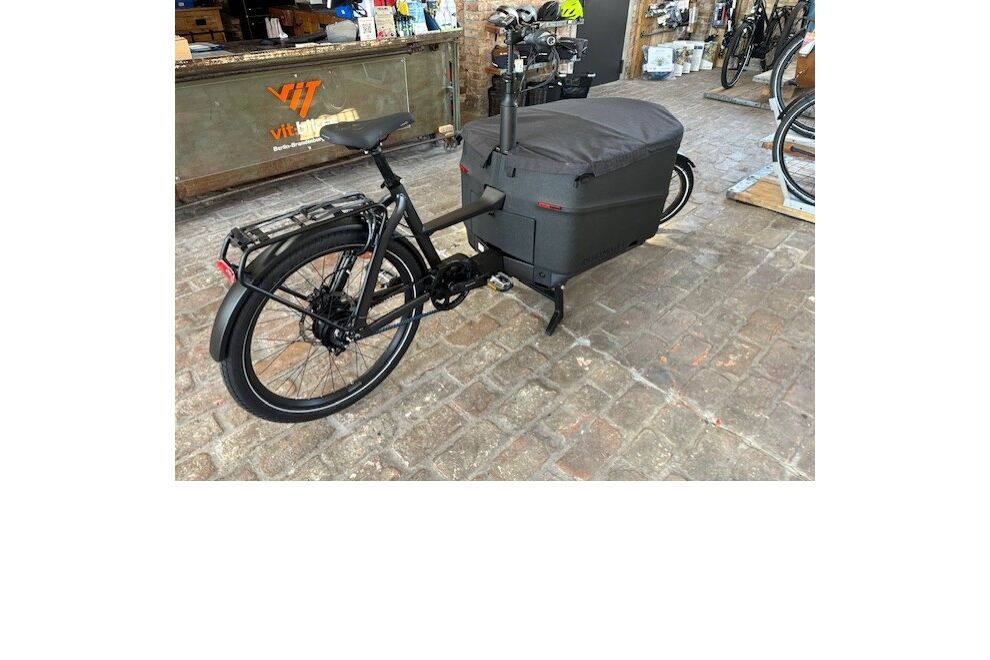 Riese und Müller Packster 70 vario
