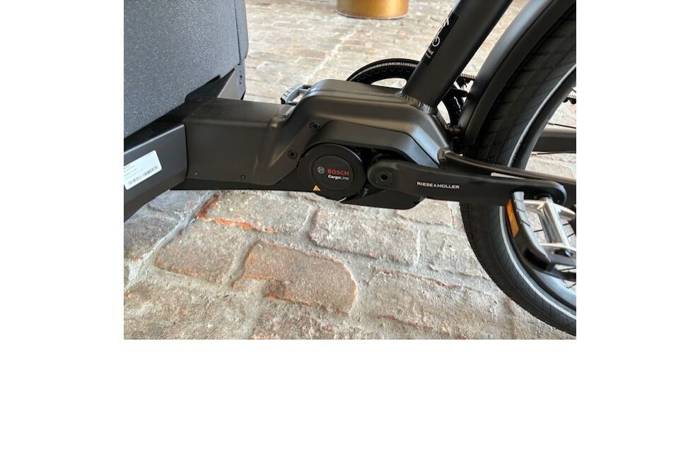 Riese und Müller Packster 70 vario