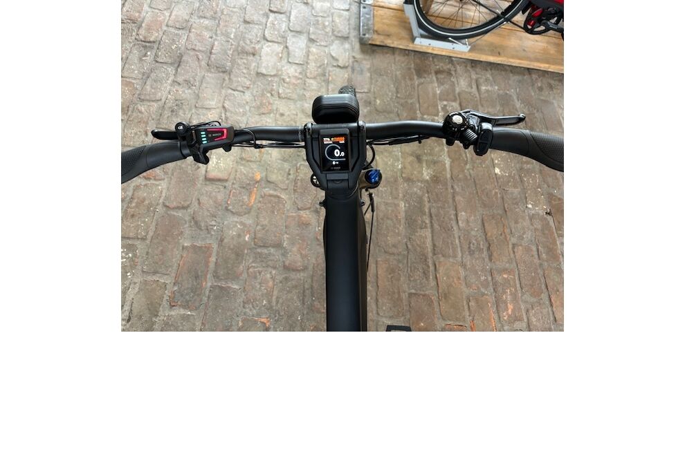 Riese und Müller Charger4 GT rohloff
