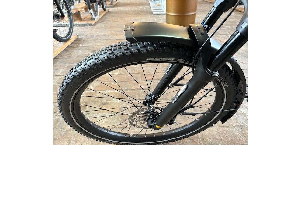 Riese und Müller Charger4 GT rohloff