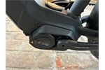 Riese und Müller Charger4 GT rohloff