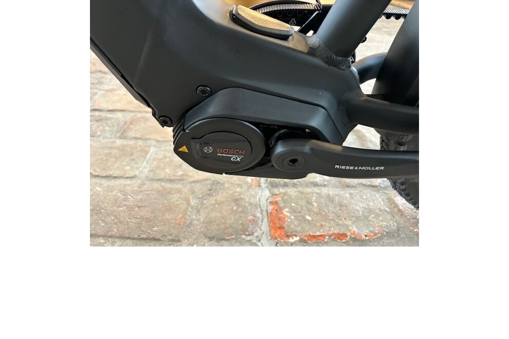 Riese und Müller Charger4 GT rohloff