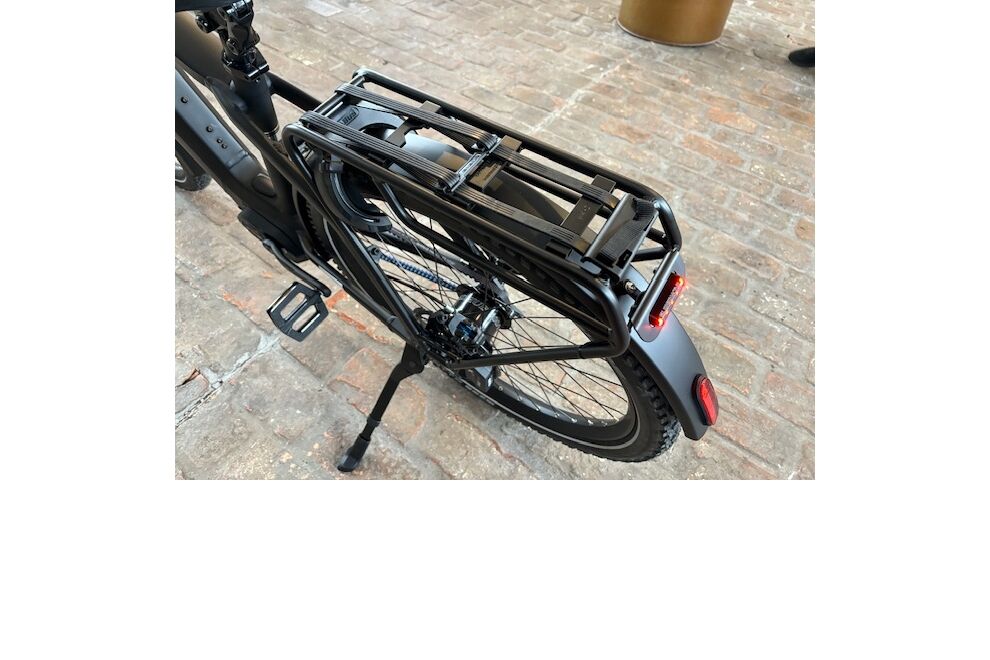 Riese und Müller Charger4 GT rohloff