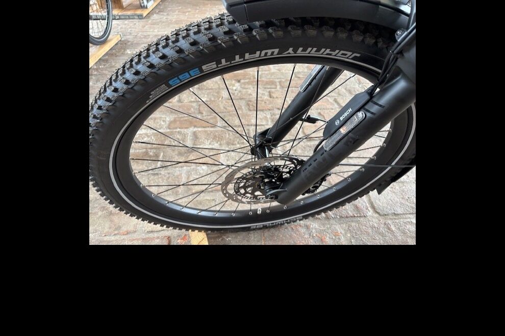 Riese & Müller Superdelite5 GT rohloff