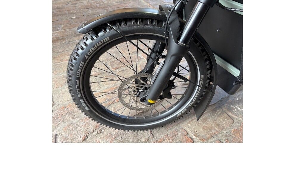 Riese und Müller Load4 75 vario