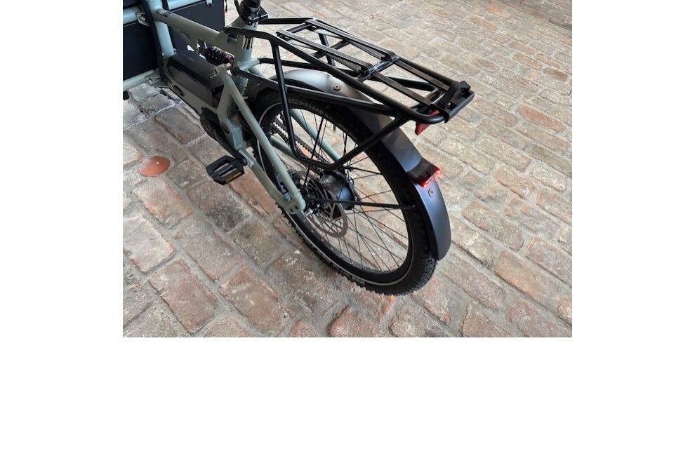 Riese und Müller Load4 75 vario