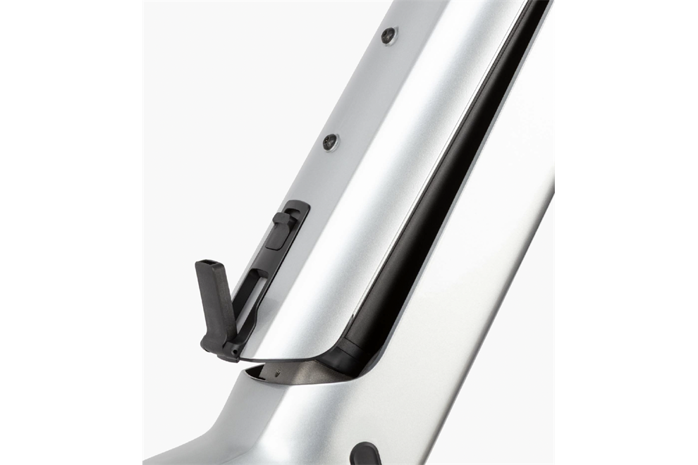 Riese und Müller Charger5 vario