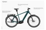 Riese und Müller Charger5 pinion HS