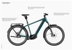 Riese und Müller Charger5 pinion HS