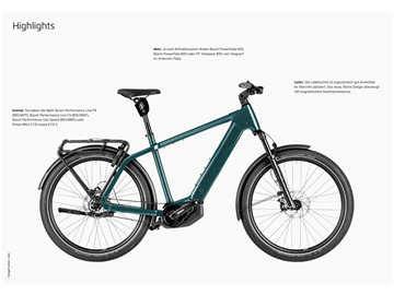 Riese und Müller Charger5 pinion HS