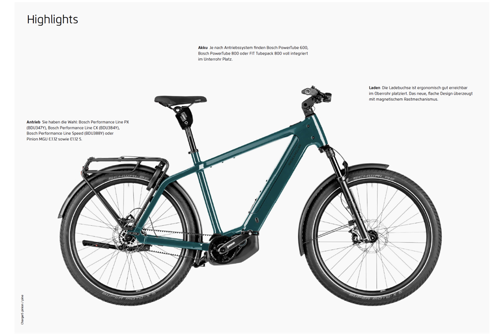 Riese und Müller Charger5 pinion HS