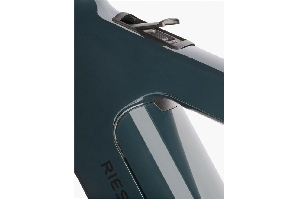 Riese und Müller Charger5 pinion HS