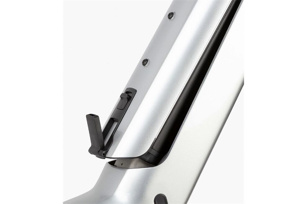 Riese und Müller Charger5 vario T