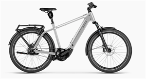 Riese und Müller Charger5 vario