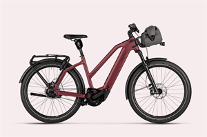 Riese und Müller Charger5 vario