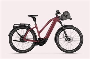 Riese und Müller Charger5 vario