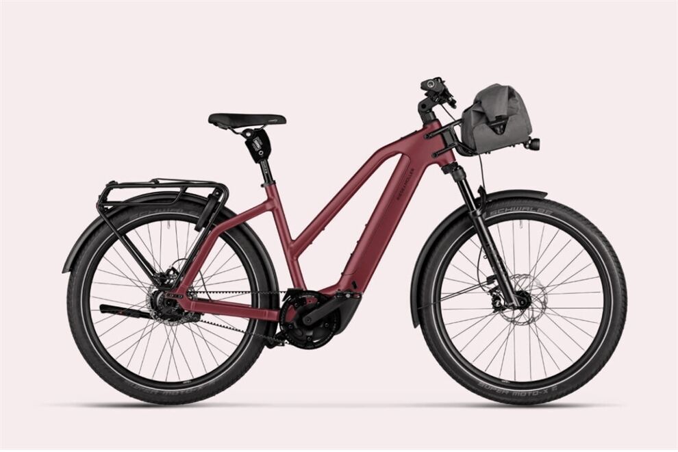 Riese und Müller Charger5 vario