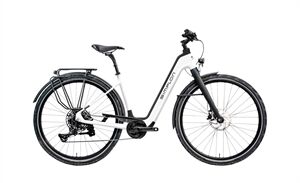 Simplon SILKCARBON TQ Uni Cues 6000