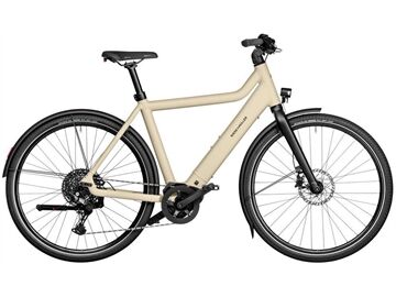 Riese und Müller Culture touring