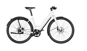Riese und Müller UBN Six silent Testbike
