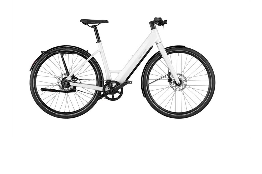 Riese und Müller UBN Six silent Testbike