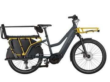 Riese und Müller Multicharger3 Mixte Family