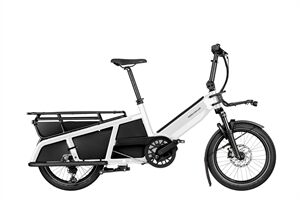 Riese & Müller Multitinker touring