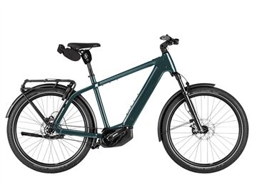 Riese und Müller Charger5 pinion HS